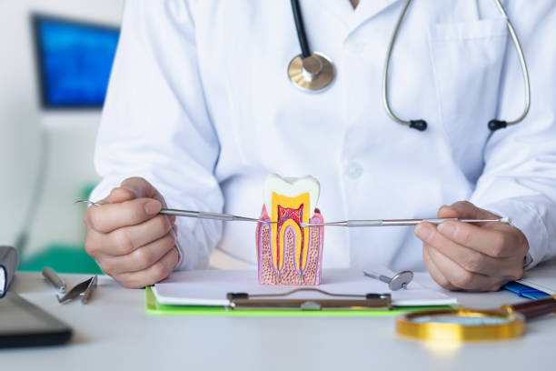 Best Pediatric Emergency Dentist in St Georges, DE
